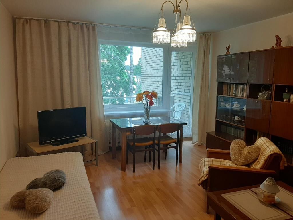 Апартаменты Amber apartamentai Друскининкай-58